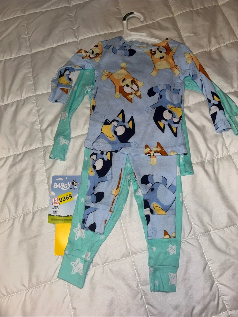 Bluey Mint Green Kids' Character Pajama Set - Long Sleeve Top & Pants Set
